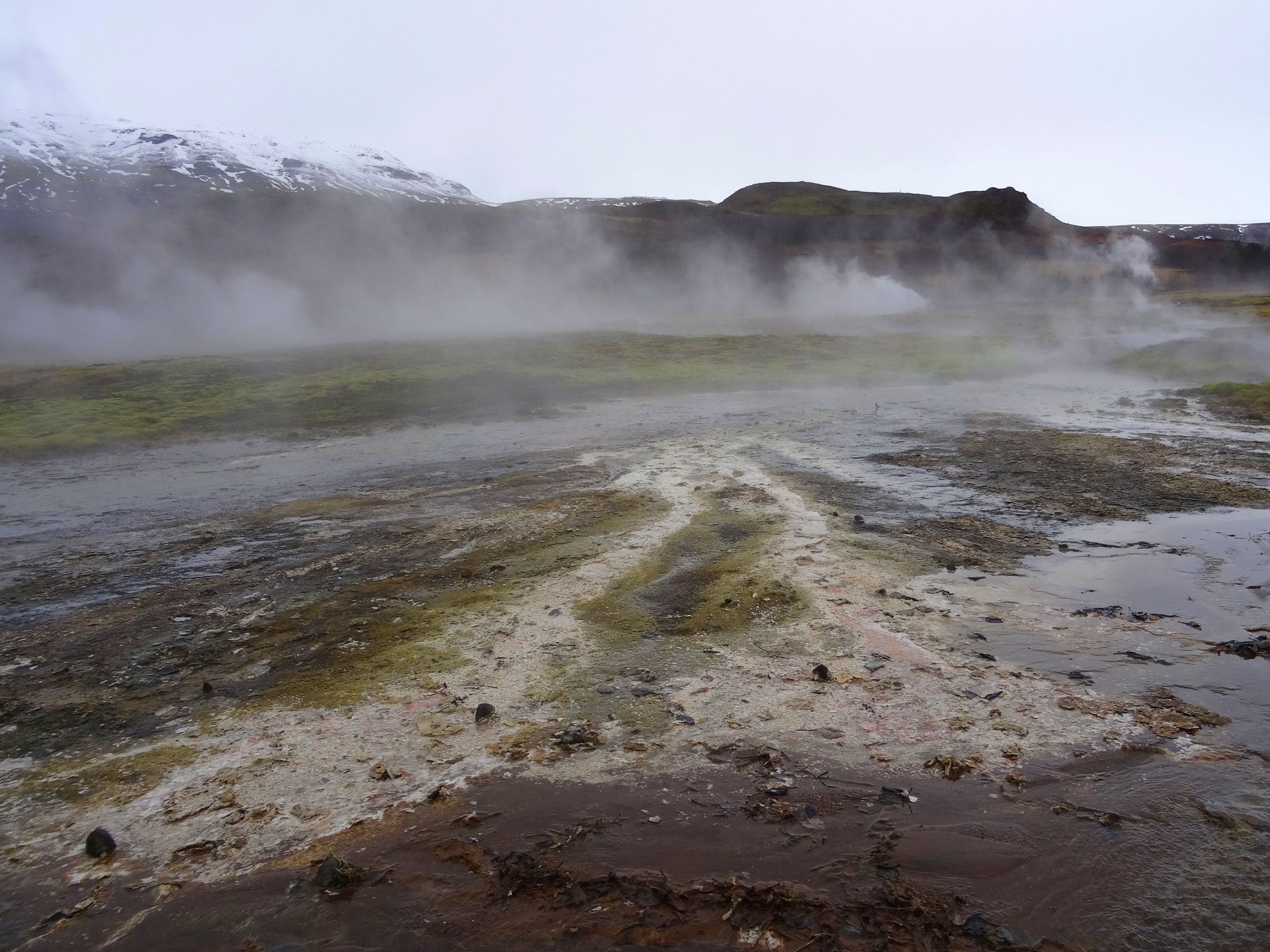 Geysir area (Haukadalur)